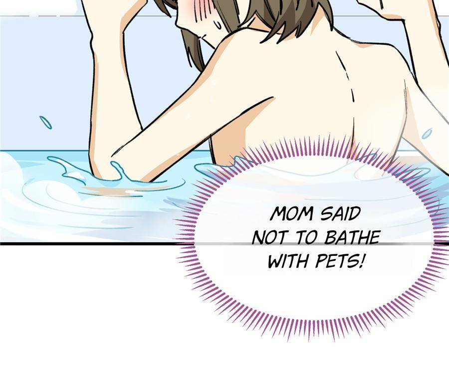 9. Don't treat pets like this! 50 76251654 900 762 65008